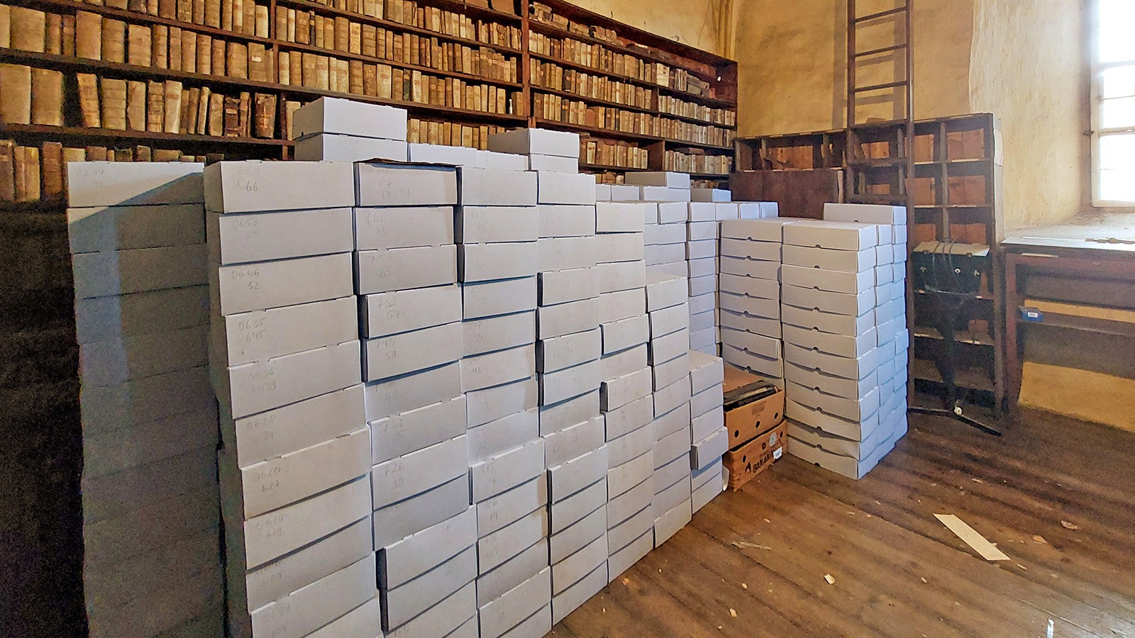 Bibliothek entdeckt